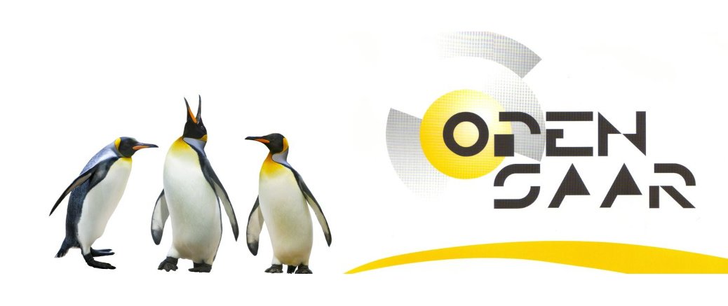 Opensaar e. V.
